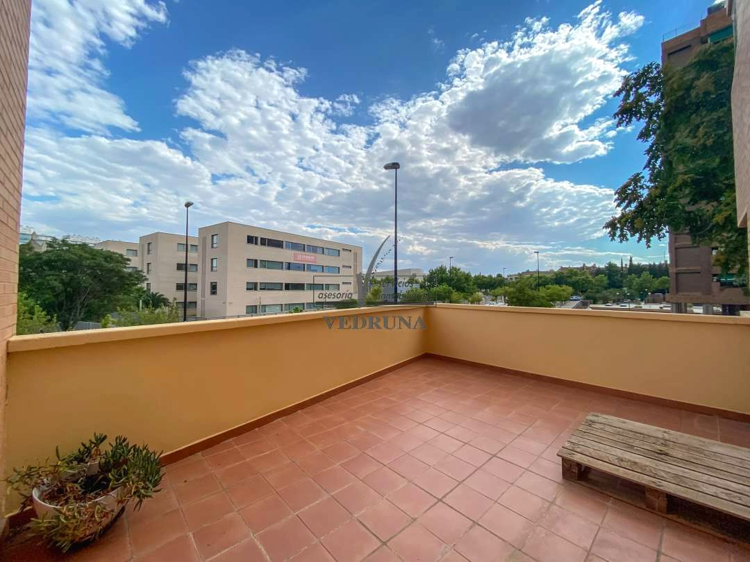 piso en alquiler en zaragoza